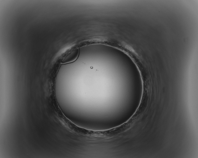 X0000085761448200703231144