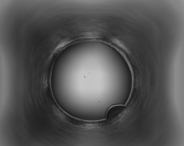 X0000085761451200703231144