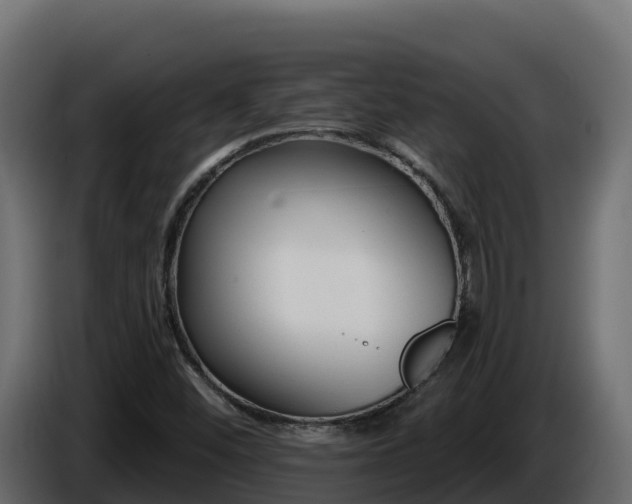 X0000085761452200703231144