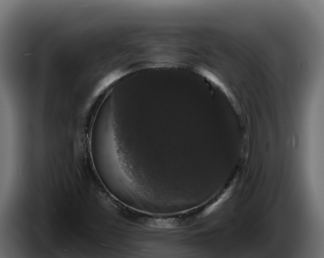 X0000085761453200703231144