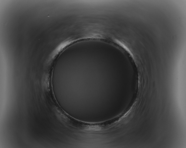 X0000085761455200703231144