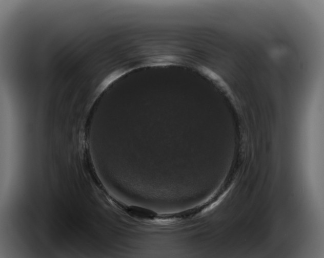 X0000085761457200703231144