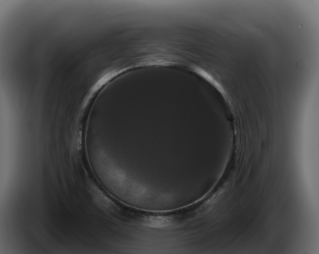 X0000085761459200703231144