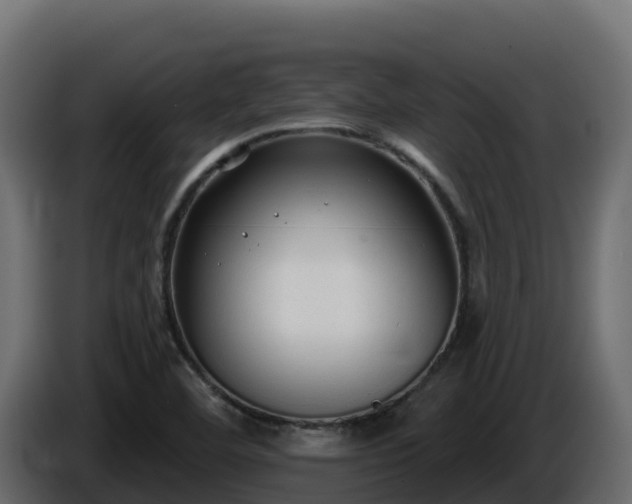 X0000085761460200703231144
