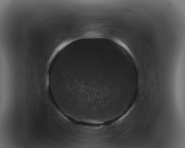 X0000085761461200703231144