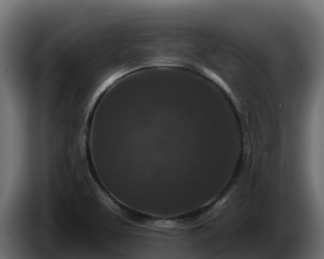 X0000085761463200703231144