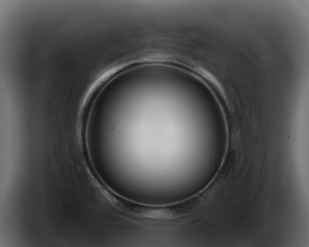 X0000085761464200703231144