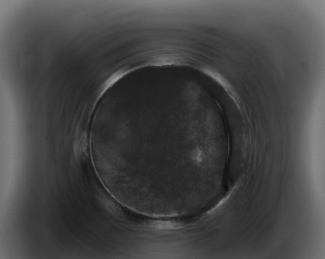 X0000085761465200703231144