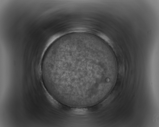 X0000085761466200703231144