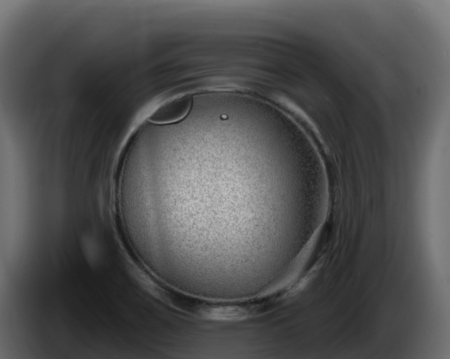 X0000085761467200703231144
