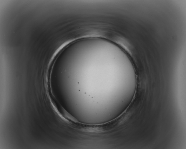 X0000085761468200703231144