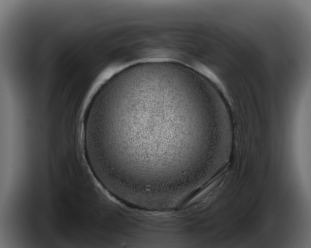 X0000085761472200703231144