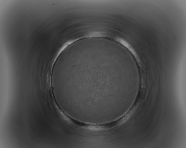 X0000085761473200703231144