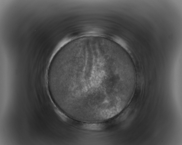 X0000085761474200703231144