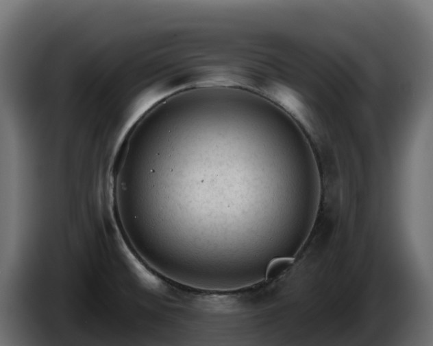 X0000085761476200703231144