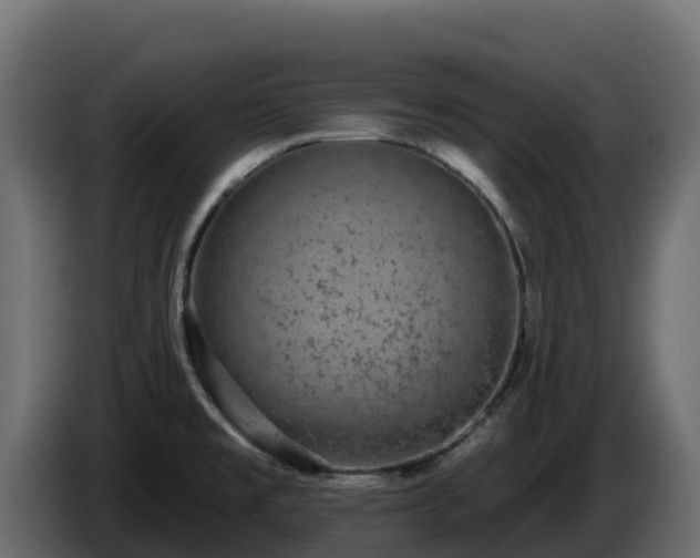 X0000085761477200703231144