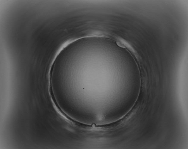 X0000085761479200703231144