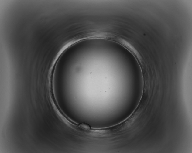 X0000085761483200703231143