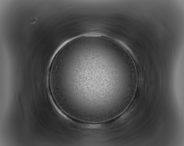 X0000085761484200703231143
