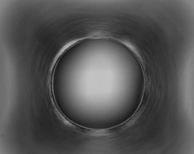 X0000085761486200703231143