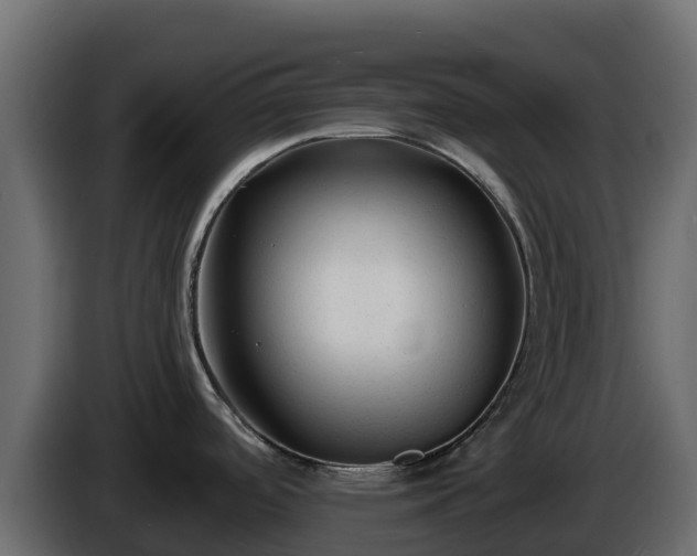 X0000085761488200703231143