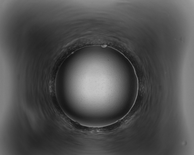 X0000085761490200703231143
