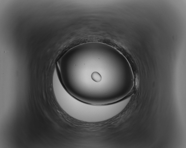X0000085761492200703231143