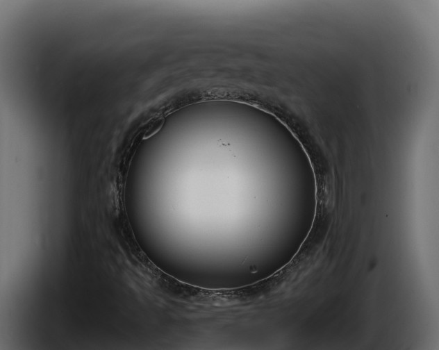 X0000085761493200703231143
