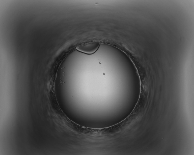 X0000085761495200703231143