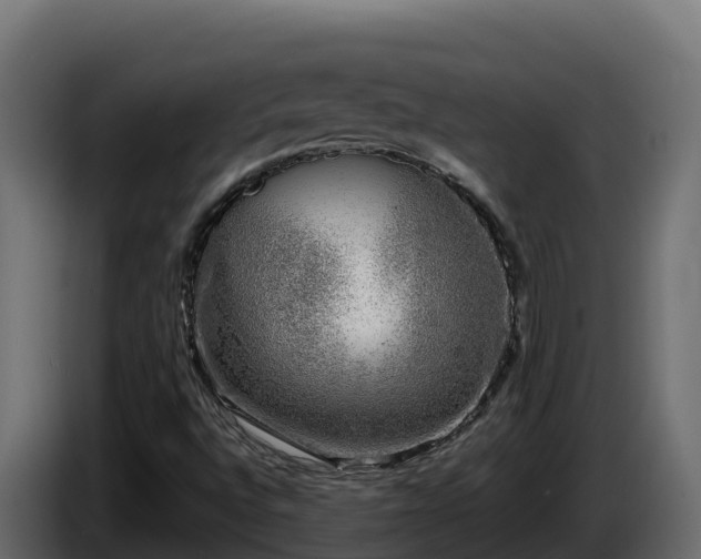 X0000085761496200703231143