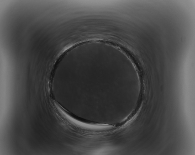 X0000085761497200703231143