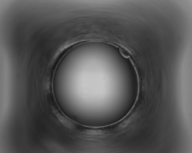 X0000085761499200703231143