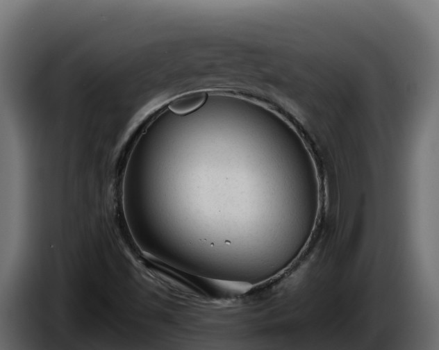 X0000085761501200703231143