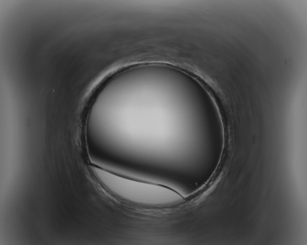 X0000085761502200703231143