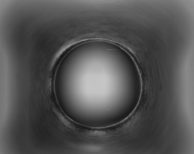 X0000085761503200703231143