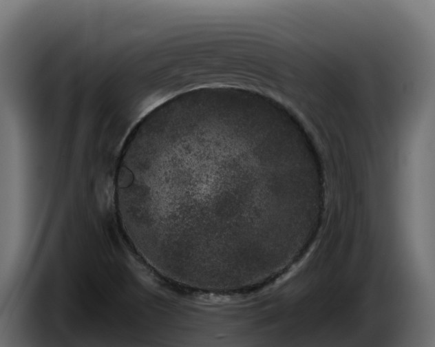 X0000085761505200703231143
