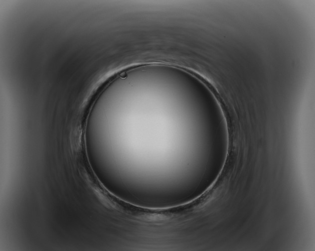 X0000085761507200703231143