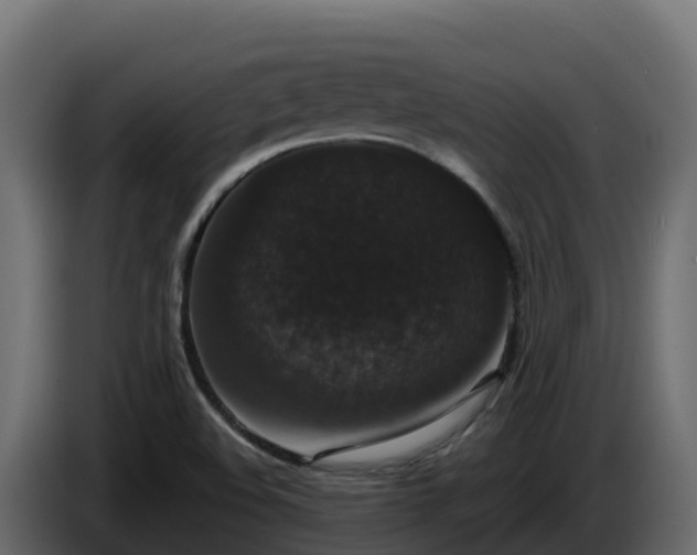 X0000085761508200703231143