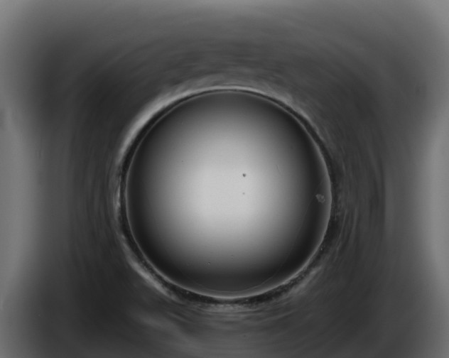 X0000085761511200703231143