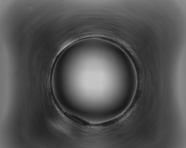 X0000085761513200703231143