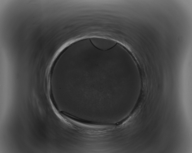 X0000085761515200703231143