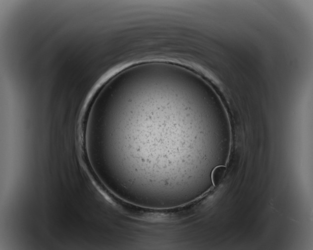 X0000085761517200703231143