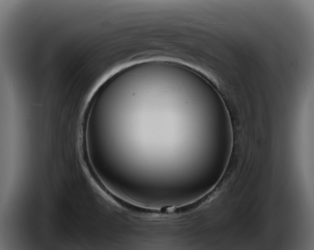 X0000085761518200703231143
