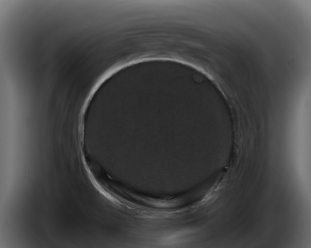 X0000085761519200703231143