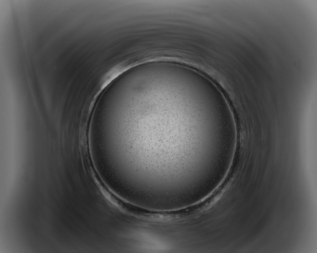 X0000085761521200703231143