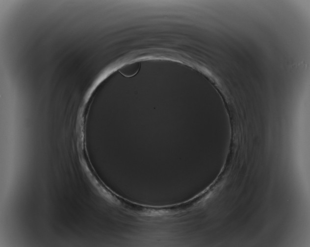 X0000085761522200703231143