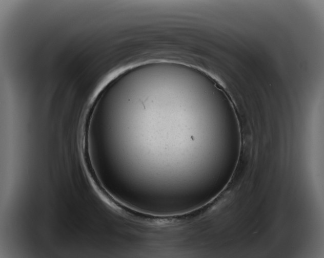 X0000085761523200703231143