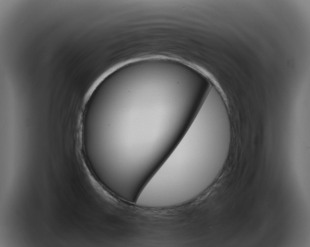 X0000085761524200703231143