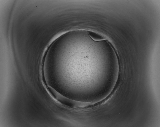 X0000085761525200703231143