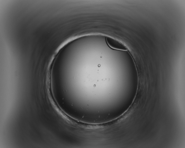 X0000085761526200703231143